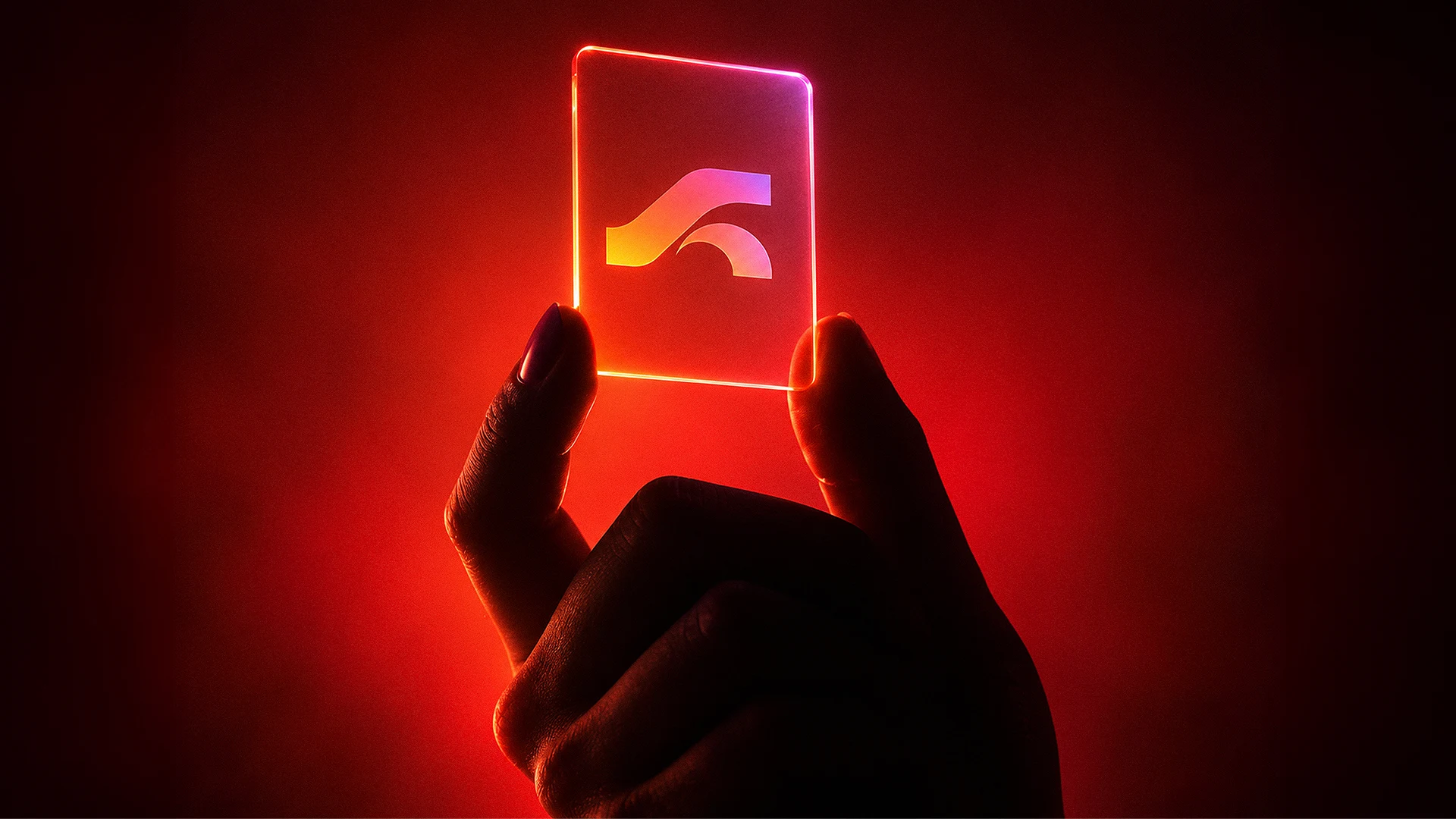 South Arc -Brand Identity — Branding