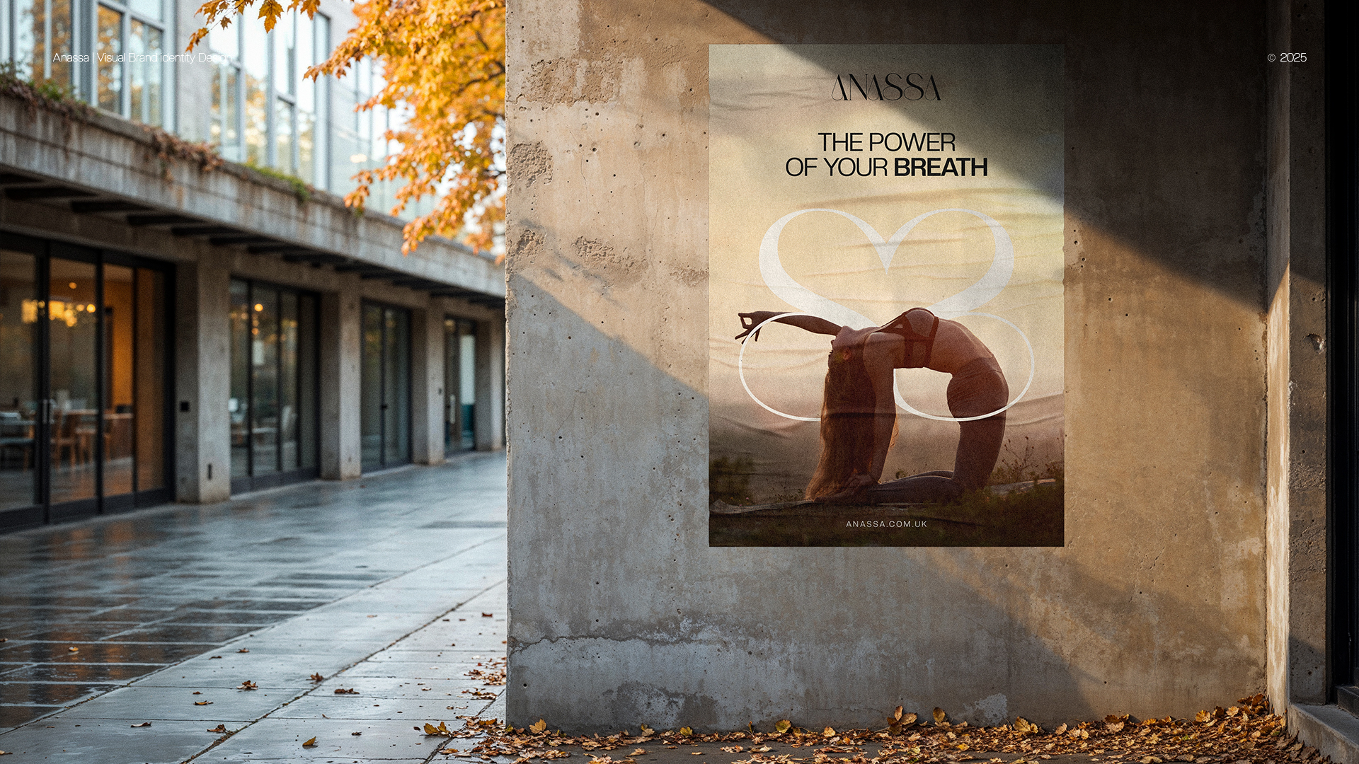 Anassa - Visual Brand Identity Design — project detail